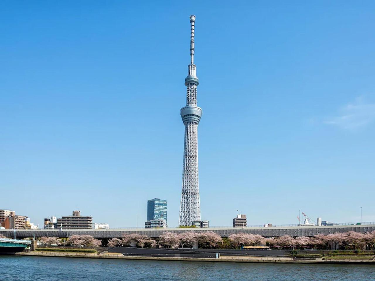 Anshin Oyado Akihabara Denkigaiten Tokyo prefektur Exteriör bild